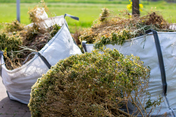 Best Dumpster Rental Services  in Nth Plains, OR